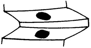 FX݆͜(zhn)pX݆g(sh)Zӹ݆X|zԇ(yn)