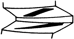 FX݆͜(zhn)pX݆g(sh)Zӹ݆X|zԇ(yn)